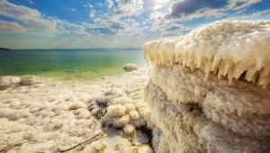 כנס: Life in Extreme Conditions 2018