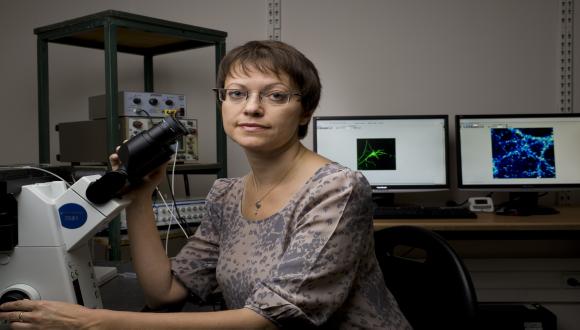 ד"ר אינה סלוצקי - אוניברסיטת תל אביב ד"ר אינה סלוצקי - אוניברסיטת תל אביב