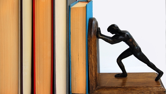 סדרת "ספרות פלוס" סדרת "ספרות פלוס"