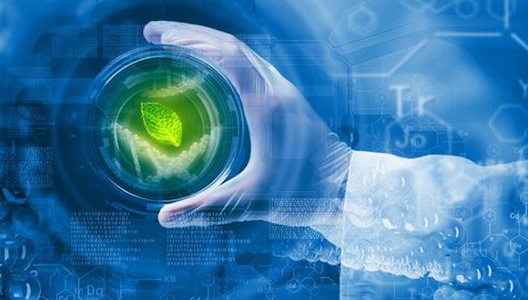 הכנס השנתי ה-34 של החברה האנטומולוגית של ישראל הכנס השנתי ה-34 של החברה האנטומולוגית של ישראל