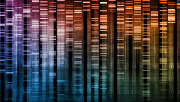 כנס: "לקראת פרדיגמה חדשה במדע, במתמטיקה ובתודעה" כנס: "לקראת פרדיגמה חדשה במדע, במתמטיקה ובתודעה"