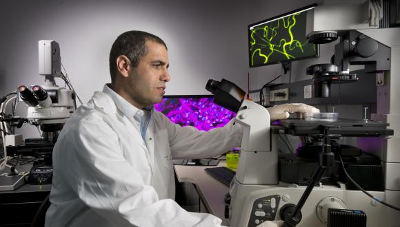 פרופ' טל דביר מהנדס תאים אנושיים להשתלה פרופ' טל דביר מהנדס תאים אנושיים להשתלה