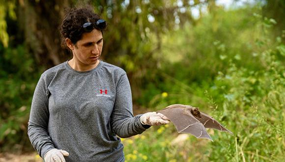 עדי רחום ועטלף פירות נועז (צילום: יובל ברקאי) עדי רחום ועטלף פירות נועז (צילום: יובל ברקאי)