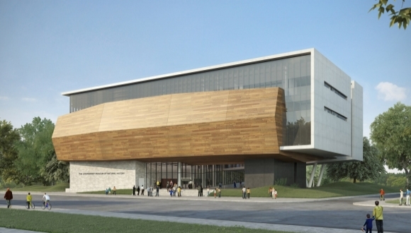 מוזיאון הטבע ע"ש שטיינהרדט, אוניברסיטת תל אביב מוזיאון הטבע ע"ש שטיינהרדט, אוניברסיטת תל אביב