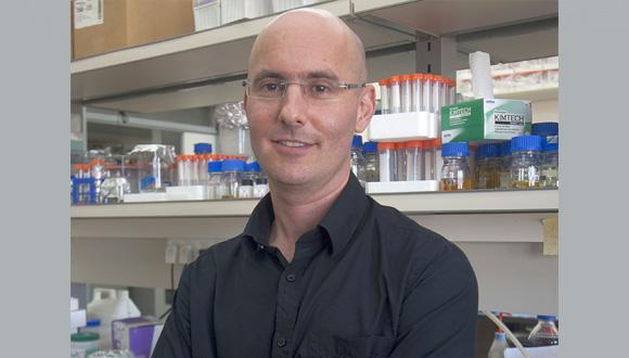 פרופ' אודי קימרון פרופ' אודי קימרון